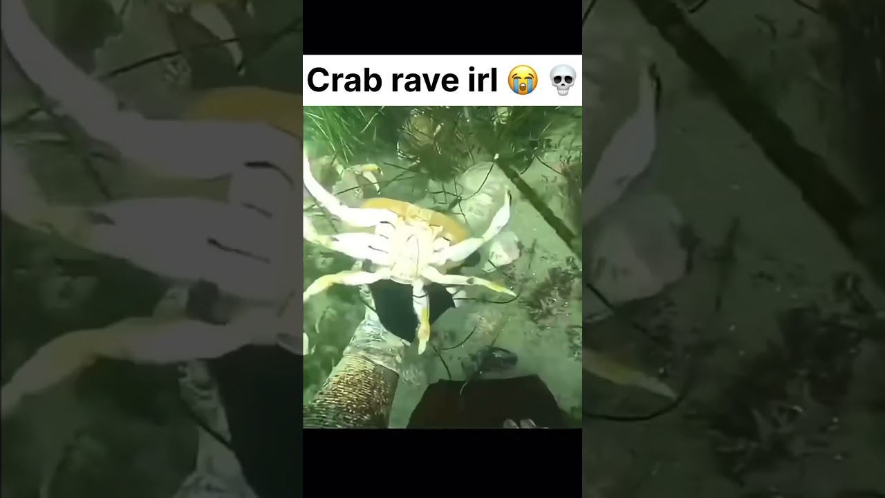 Crab rave irl 🦀 