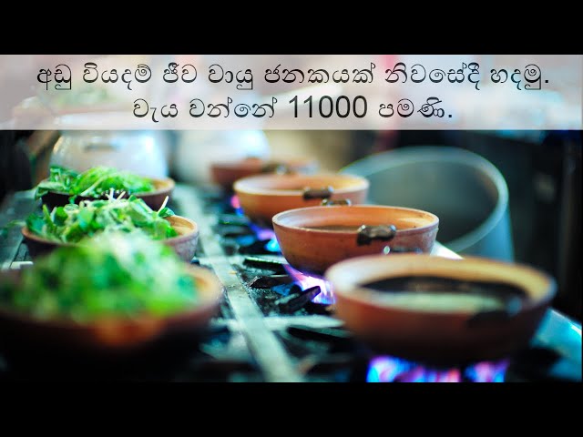 අඩු වියදමින් ජීව වායු ජනකයක් ගෙදරදීම හදමු (Home made bio gas unit of Fruit Gardener)