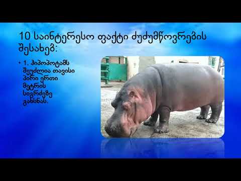 ხერხემლიანი ცხოველები   ძუძუმწოვრები