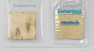 Membrain™ Smart Vapor Retarder vs regular poly : mould comparison