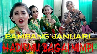 BAMBANG JANUARI. HADIRMU BAGAI MIMPI.