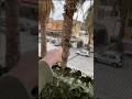 THANOS di SQUID GAME SBATTE CONTRO UN ALBERO E CADE!! #giox97 #shorts #squidgame #horror #thanos
