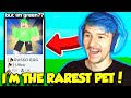 The DEVS Added A Russo Event And I HATCHED THE RAREST GREEN RUSSO EVER! (Roblox)