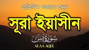 প্রতিদিন সকালে শুনুন – হৃদয় জুয়ানো কণ্ঠে সূরা ইয়াসিন | (سورة يس) Surah Yasin | Morning Tilawat