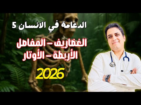 الغضاريف المفاصل الأربطة الاوتار الدعامة في الإنسان 2026