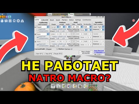 Видео: ВСЕ СПОСОБЫ ИСПРАВЛЕНИ ОШИБОК В Natro Macro - Bee Swarm Simulator