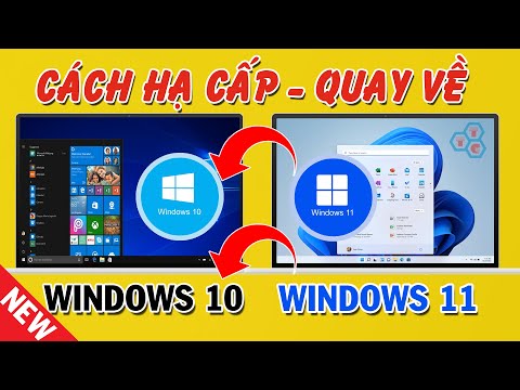 Cách hạ cấp Windows 11 xuống Windows 10 mới nhất đơn giản