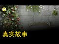 湖南張家界新娘婚前的出軌行為衝上熱搜 無底線偷情男女微信聊天被曝光 無辜新郎喜當爹 真實故事 張家界新娘 熱門 情感 家庭倫理 出軌 美女 搞笑 小三 湖南張家界新娘婚前的出軌行為衝上熱搜 無底線偷情男女微信聊天被曝光 無辜新郎喜當爹 真實故事 張家界新娘 熱門 情感 家庭倫理 出軌 美女 搞笑 小三