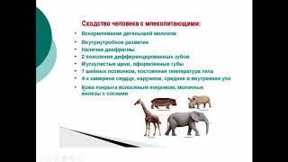 Биология. 9 класс. Место человека в системе органического мира. Людмила Ивановна. Profi-Teacher.ru Биология. 9 класс. Место человека в системе органического мира. Людмила Ивановна. Profi-Teacher.ru