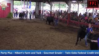 Mason County Fair 2024 Steer Show