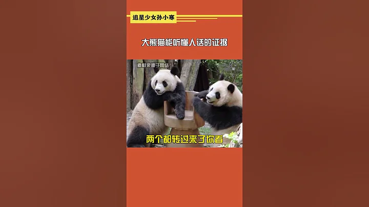 大熊猫能听懂人话的证据 - 天天要闻