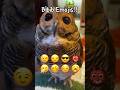 Owl Emoji Challenge Animals Funnyvideo Cute Funny Owl Pets Funnyanimals Emojichallenge 
