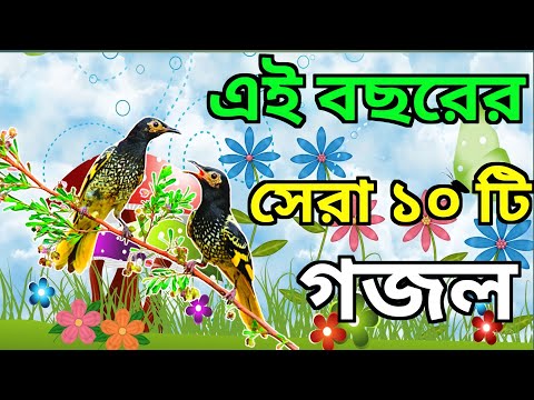 এই বছরের সেরা 10 টি গজল New bangla gojol, Notun Gojol 2023, New Notun Gojol islamic gojol Bokra eid