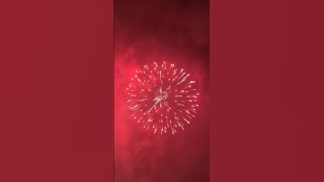 INCREDIBLE 5 inch display shell (DONT MISS)