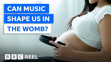 How music shapes us in the womb – BBC REEL