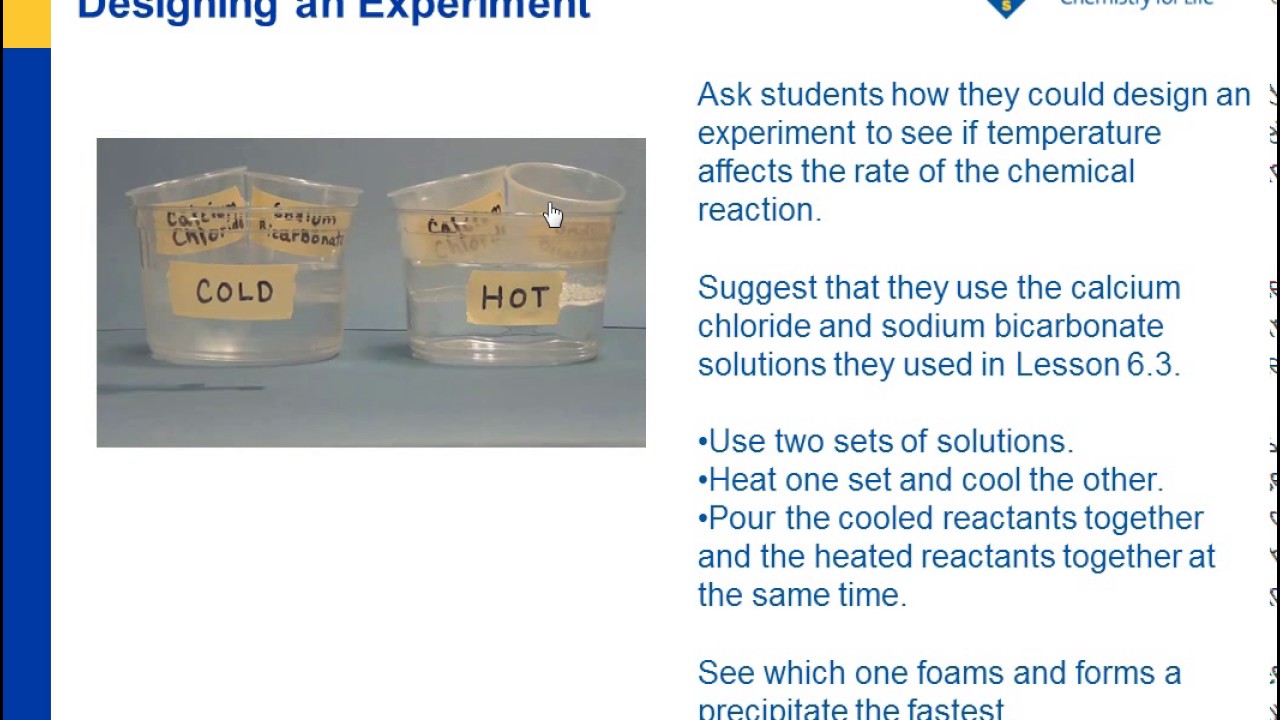 factors affecting reaction rates lab