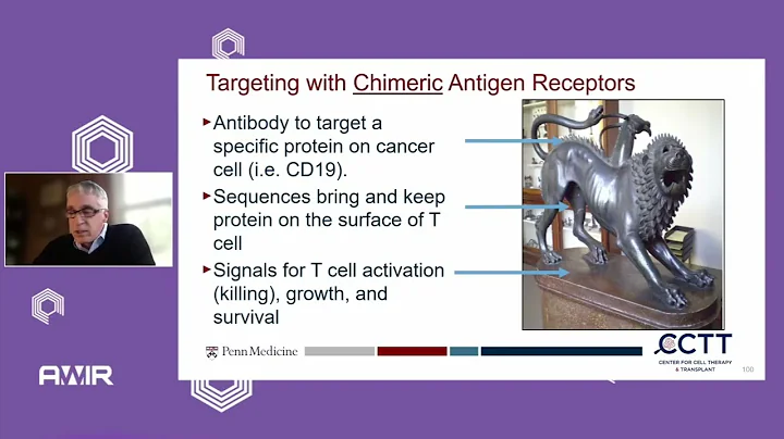 The Promise and Potential of CAR T Cell Therapy in Rheumatology