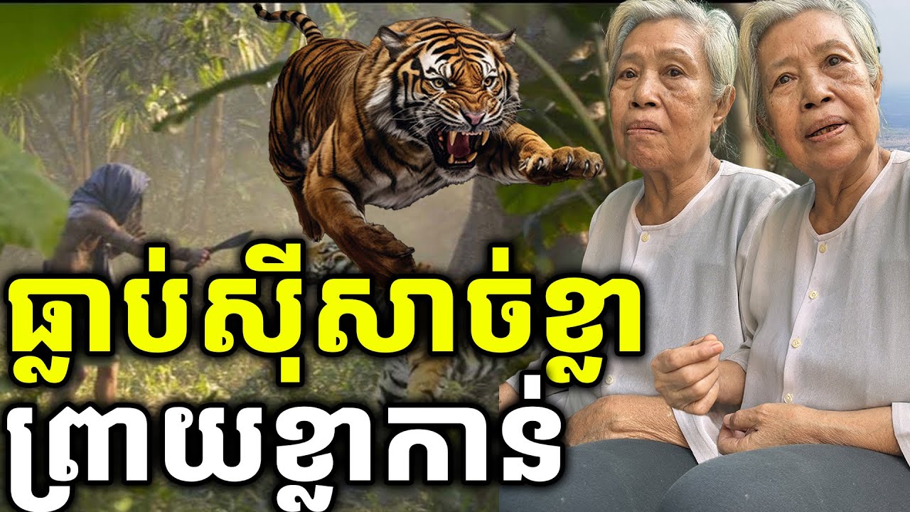 ស៊ីសាច់ខ្លា ក្លាយជាព្រាយខ្លាកាន់ មានអំណាចខ្លាំងបំផុត [ ហនុមាន-Haknuman]