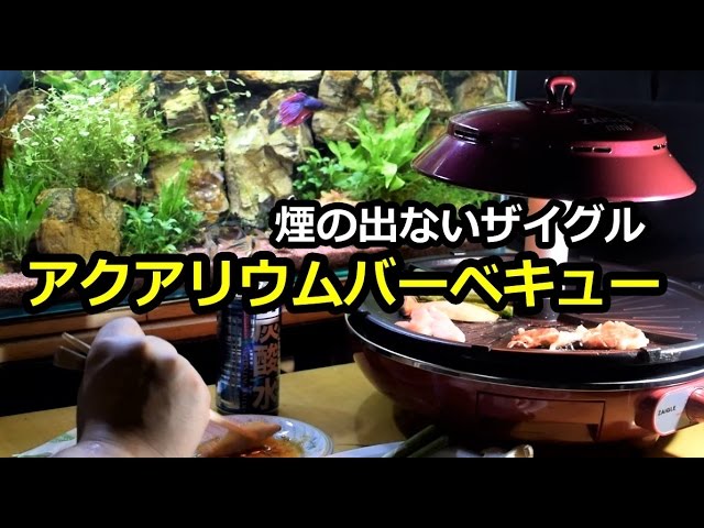 ZAIGLE Everyday eco grill ホットプレート s-l400.jpg
