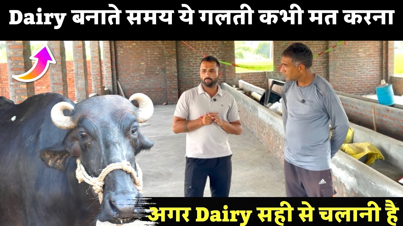99% Dairy Farmers ये गलती करते हैं – आप मत करना ❌
