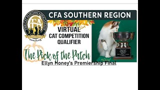 Ellyn Honey's Premiership Final