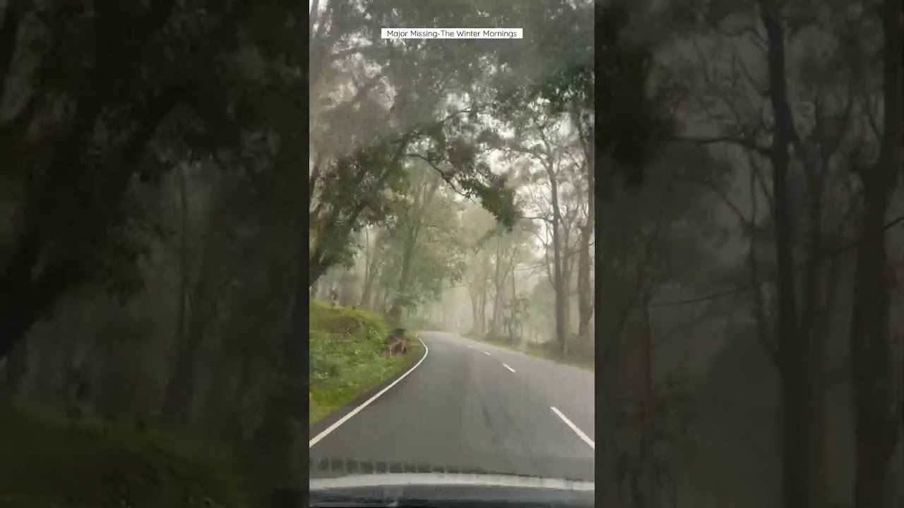 Winter Mornings|Major Missing|