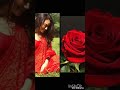 Surbhi jyoti  vs rose  sem colur dress watsup stetus