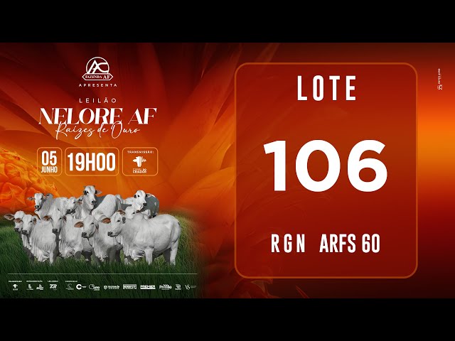 LOTE 106