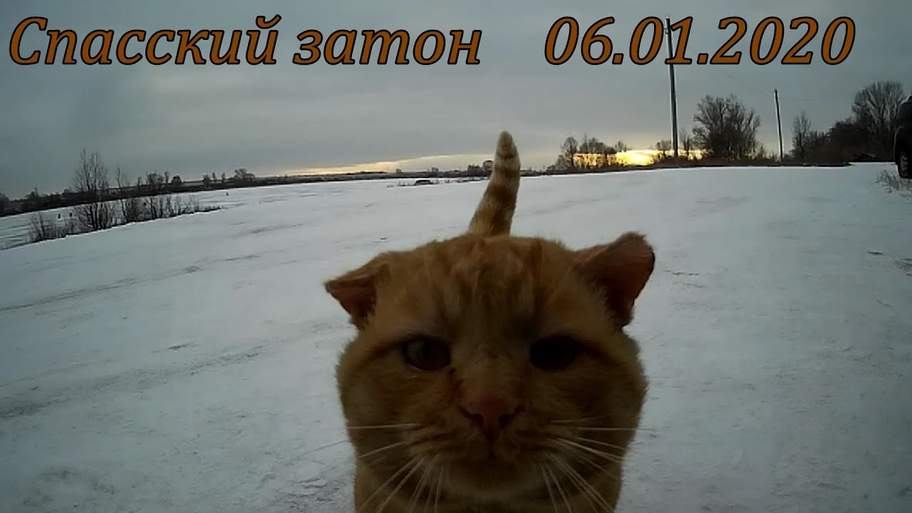 Рыбалка перед Рождеством! Спасский затон. - YouTube