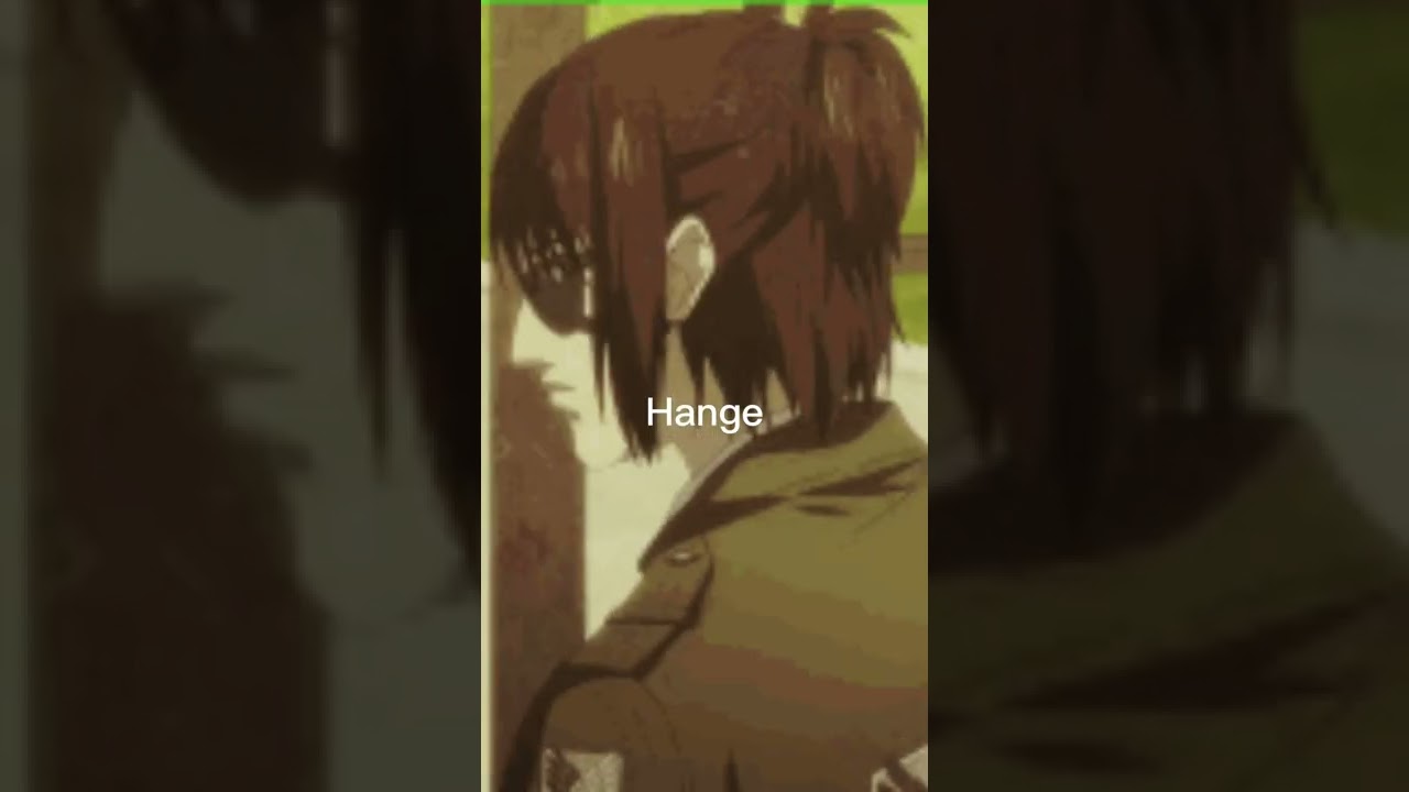 Eren Vs Hange