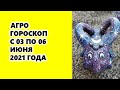 Агрогороскоп с 03 по 06 июня 2021 года