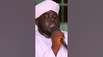 سورة الحجر تلاوة جميلة هادئة الشيخ مسلم بخاري #المصحف muslimbukhari