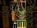 complex - Moog Grandmother && Buchla 259t