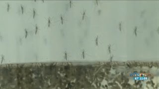 8 On Your Side: Local biologist cautions about Zika virus