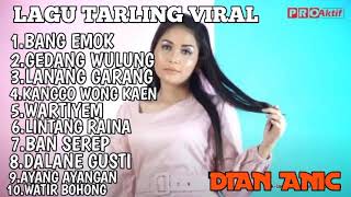 BANG EMOK DIAN ANIC LAGU TERBARU 2022 FULL ALBUM