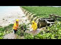 Crisis at the Crossing Floating Plants Removed From Dam Drainage
