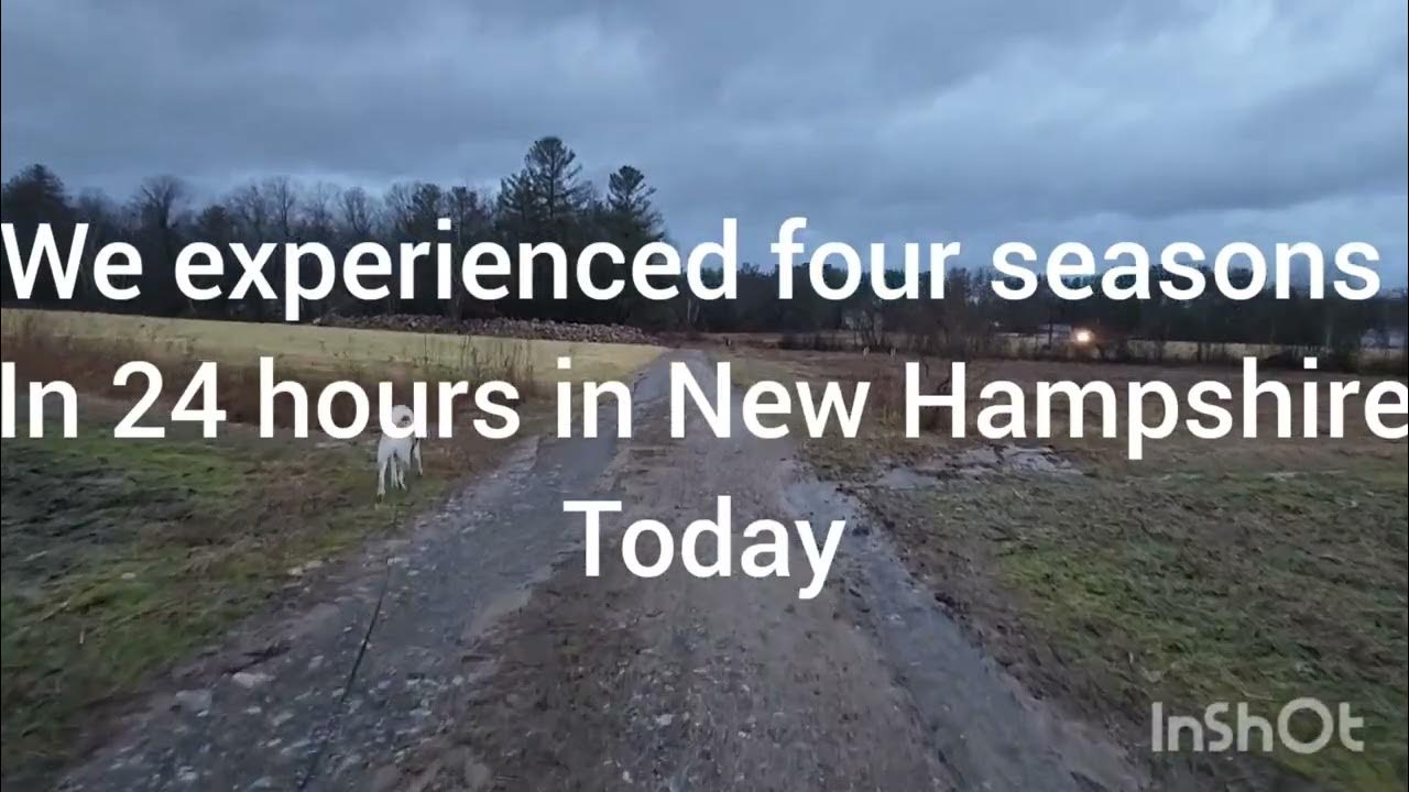 Wandering thru an orchard during crazy weather day. Hollis, NH. YouTube
