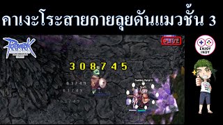 คาเงะโระ สาย กาย ลุยดันแมวอย่างโหด (RO)