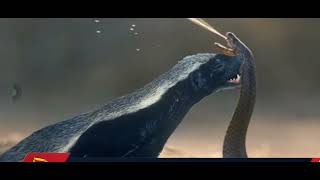 Snake vs Monster part 04. صراع البقاء في الصحراء الكبرى #Snake vs Monster. #trending #viral