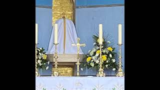 Holy Mass (1.6.2026) | St Thomas More, Sheldon