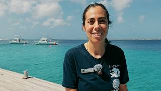 Buddy Dive Bonaire | PADI Instructor Development Course