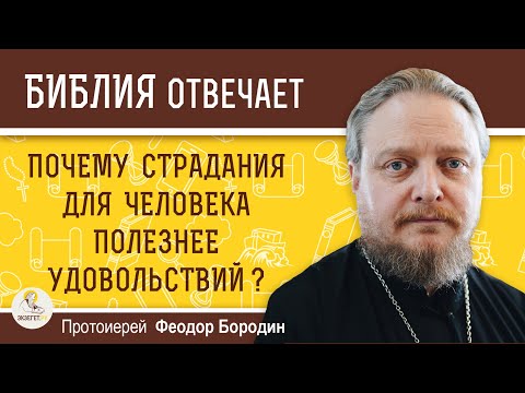 Почему страдания для человека полезнее удовольствий ? Протоиерей Феодор Бородин