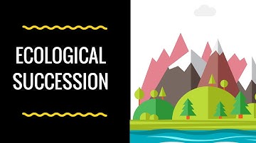 How do ecosystems change over time? (Ecological Succession)