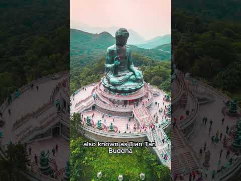 Video: Big Buddha Honkongo turizmo vadovas