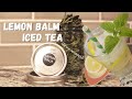 LEMON BALM ICED TEA - from Garden to Dehydrator to Table!