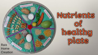 Nutrients of healthy plate|project|school activities