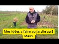 Quel sont les plantations et semis a faire debut mars au jardin 