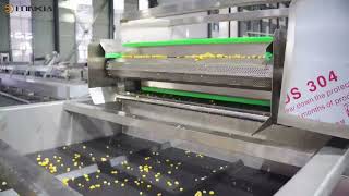 🌽 IQF Sweet Corn Processing | Pre-treatment Line (Washing, Blanching, Cooling, Vibrating, Elevating)