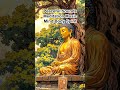 Peaceful Sounds, Meditation Music, Mind Body Spirit #lofi #buddha #shorts