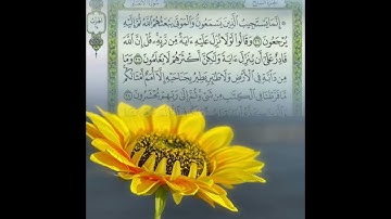 سورة الأنعام كامله (صوت الشيخ فارس عباد ؛